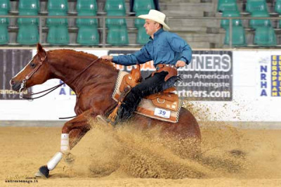 Что  такое рейнинг?