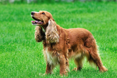 Что означает слово 