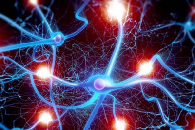 Удивительные способности нервных клеток