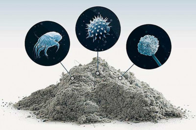 Чем опасна пыль?