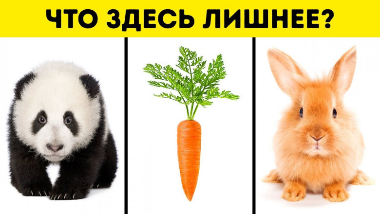 Определите свой тип мышления! 