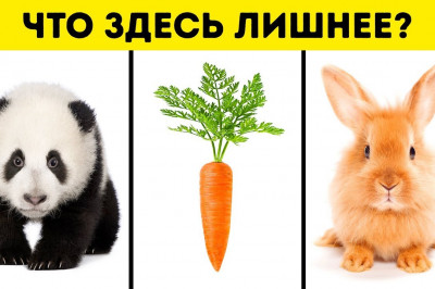 Определите свой тип мышления! 