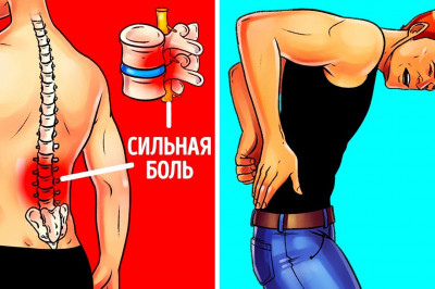 Что Такое Система Упражнений Дикуля