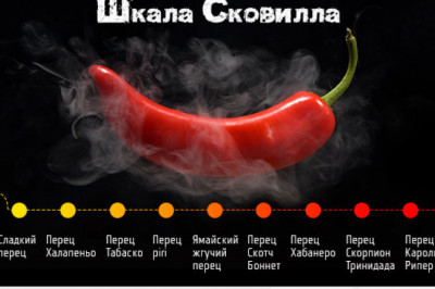 Для чего нужна шкала Сковилла?