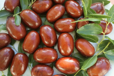 Чем полезен унаби?