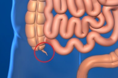 Для чего человеку аппендикс?