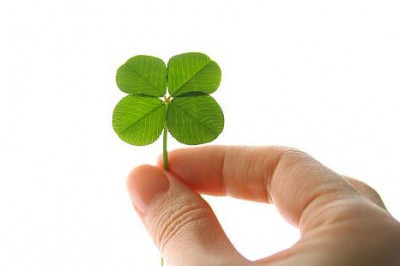 Почему  четырехлистный клевер является сакральным цветком?