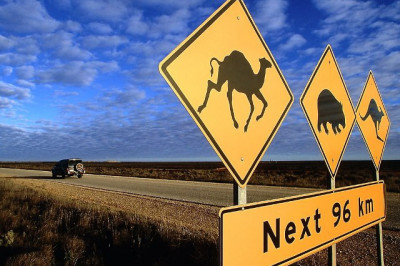 Самые забавные дорожные знаки