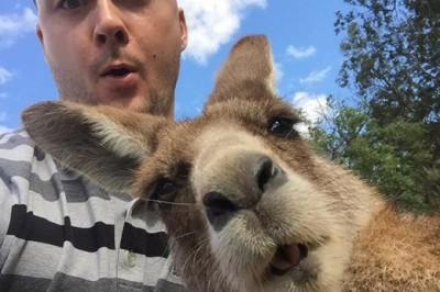 Селфи-селфи