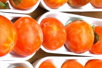 Почему хурма вяжет рот?