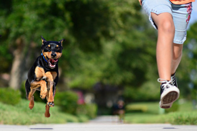 Что такое кинофобия?