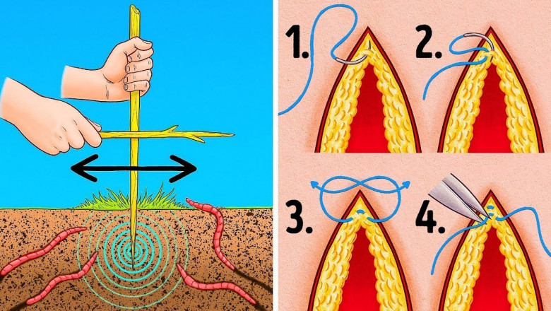 13 Советов, Которые Спасут Вашу Жизнь в Самых Безнадежных Ситуациях