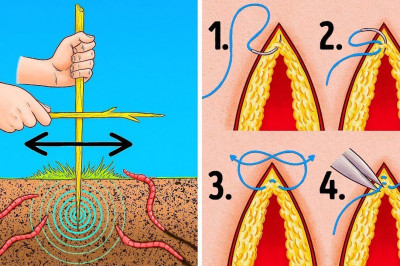 13 Советов, Которые Спасут Вашу Жизнь в Самых Безнадежных Ситуациях