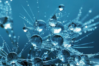 Чем так опасен дигидроген  монооксид для человечества?