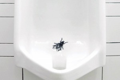 Как мухи могут способствовать чистоте   туалетов?