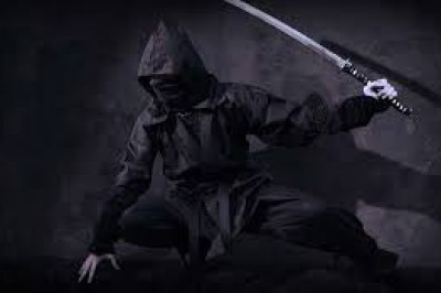 Интересные факты о воинах тени