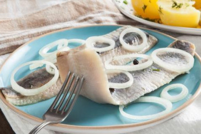 10  интересных фактов о сельди