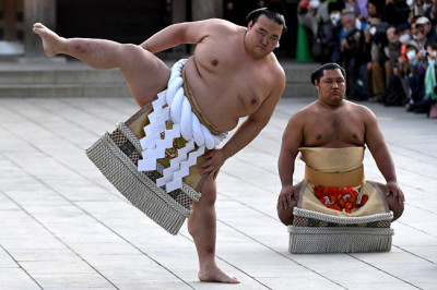 Чем питаются сумоисты?