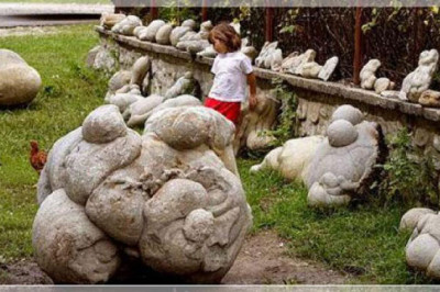 Размножаются ли камни?