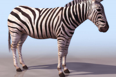 Удивительные 3D зебры в Исландии 