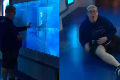 Как акула может быть опасной даже за толстым стеклом?