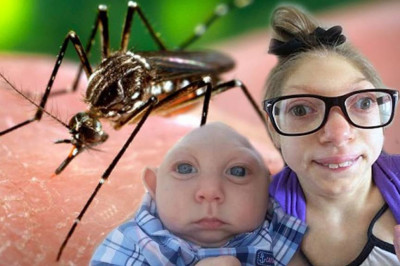 Откуда взялся вирус Зика и чем он опасен?