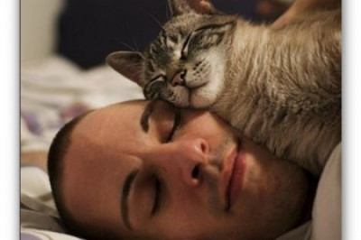 Правда ли, что домашние животные улучшают сон хозяев?