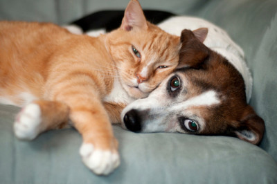 Психологические портреты людей-