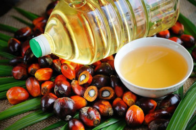 Так ли страшно пальмовое масло, как его малюют?