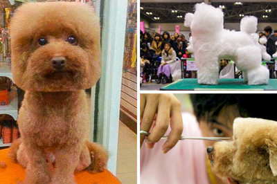 Самые крутые приспособления японцев