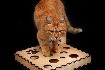  Игрушки для кошек, которые будут гармонично смотреться в квартире