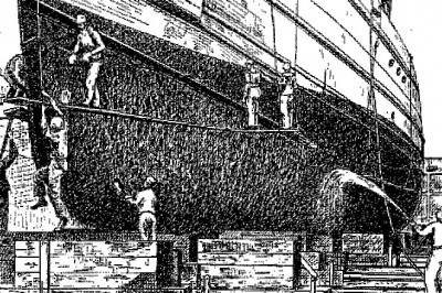 Почему ракушки-прилипалы опасны?