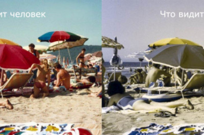 Как видят собаки?