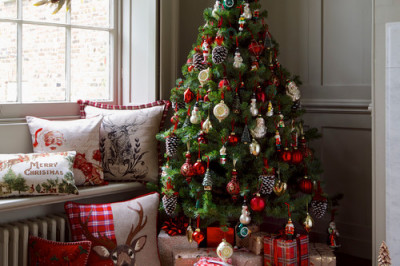 	 Штучная или живая: выбор елки