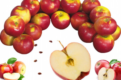 Сколько яблочных  косточек может стать смертельно опасным для употребления?