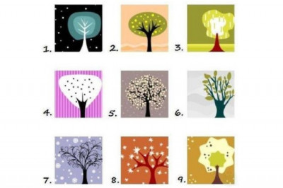 Какое дерево вам ближе по духу? Ответ раскроет вашу сущность