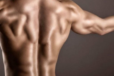 Почему может болеть спина?