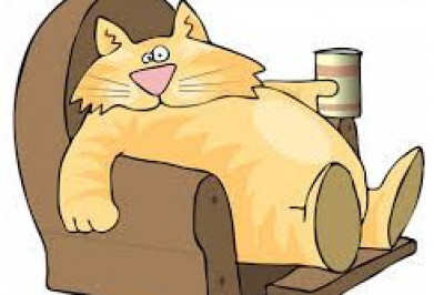 Правда ли, что лень- это признак интеллекта?