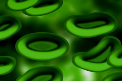 Животные, у которых кровь не красного цвета