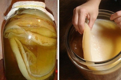 Чем полезен чайный гриб?