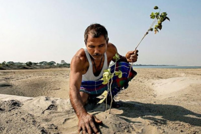 История о том, как мужчина каждый день сажал по дереву, чтобы спасти заброшенный остров  