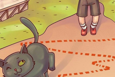 Страны и удивительно необычные суеверия 