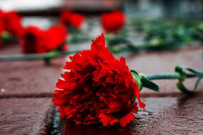 Зависимость количества цветов в букете от жизни и смерти