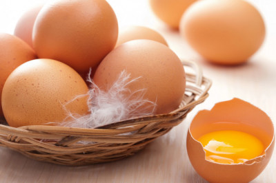 Интересные сведения про яйца