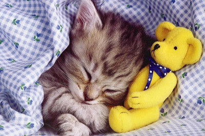 Метод быстрого засыпания от индийских йогов