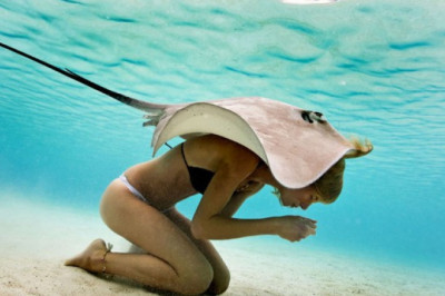 Интересные факты о скатах