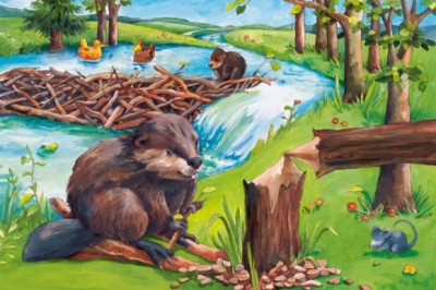 	 История о том, как бобры дом из денег построили