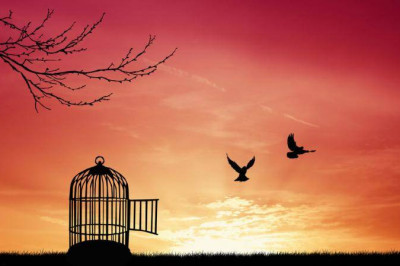 Принципы свободного человека