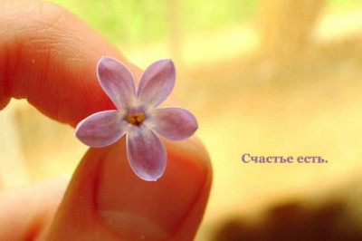 26 правил, которые помогут изменить жизнь к в лучшую сторону