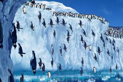 Удивительные факты об Антарктиде